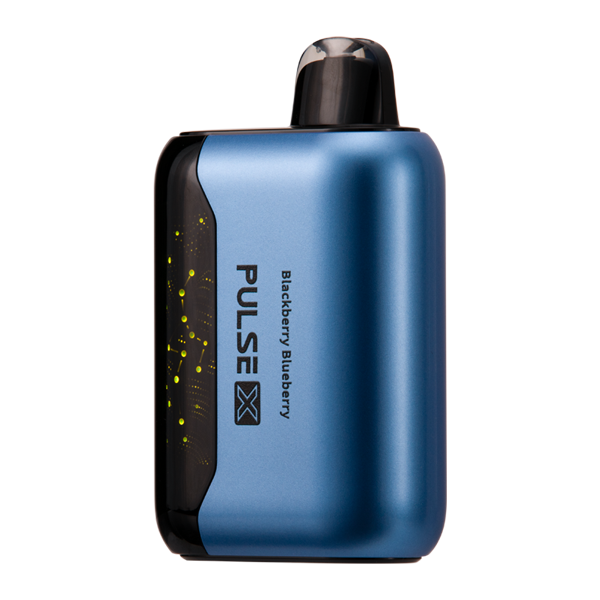 Geek Bar X Blackberry BlueBerry 25K