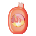 Flum UT Bar Watermelon Ice 50K
